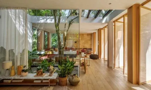 Cómo Crear un Encantador Jardín de Invierno con Poco Presupuesto