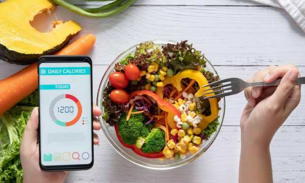 contador de calorias